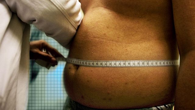 Stomachs: Does size really matter?