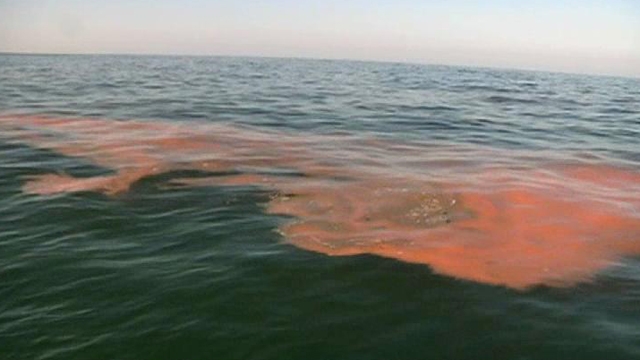 Crews Burn Oil Off Surface of Gulf