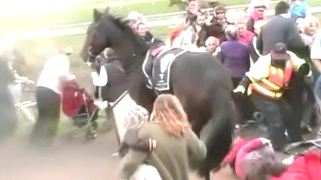 Horse Leaps Into Crowd at Australian Steeplechase