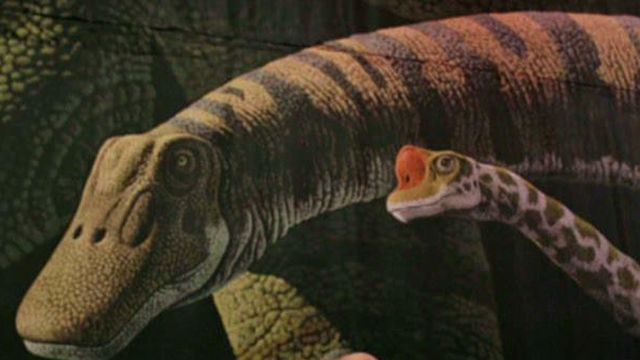 Did dinosaurs fart themselves into extinction?