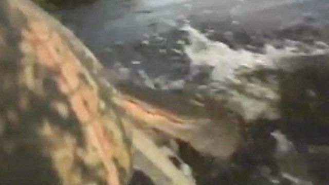 Gator leaps from water, attacks kayaker