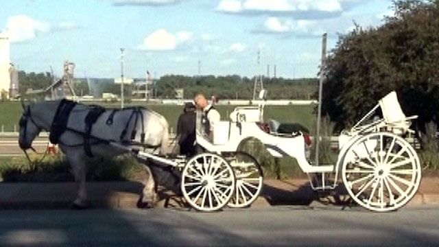 Carriage driver's terrifying night in St. Louis