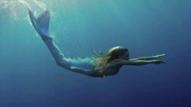 Real life 'mermaid' swims with whales for a good cause