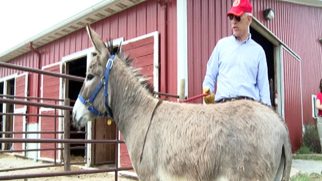Iraq Donkey Gives Therapeutic Aid in Nebraska