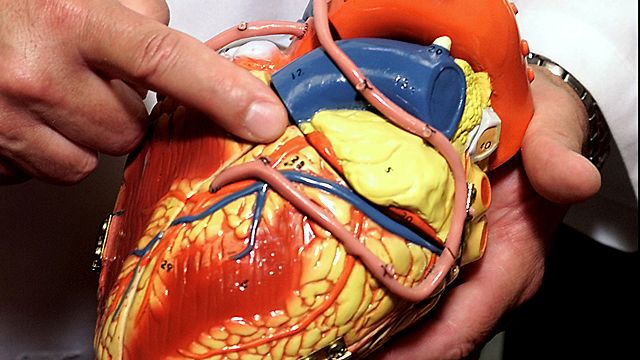Can researchers mend broken hearts?