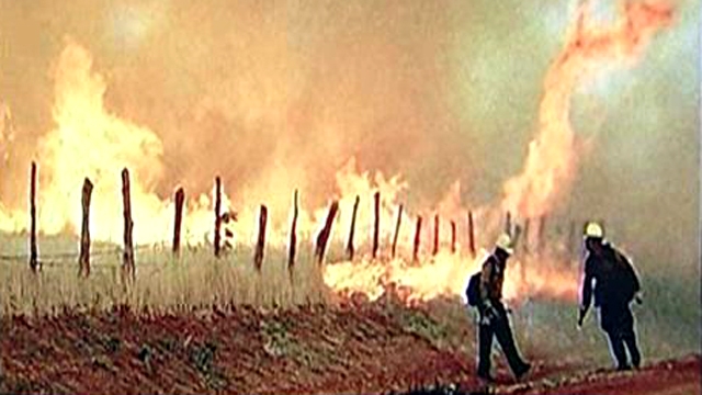 Firefighters Battle Wildfire in Texas