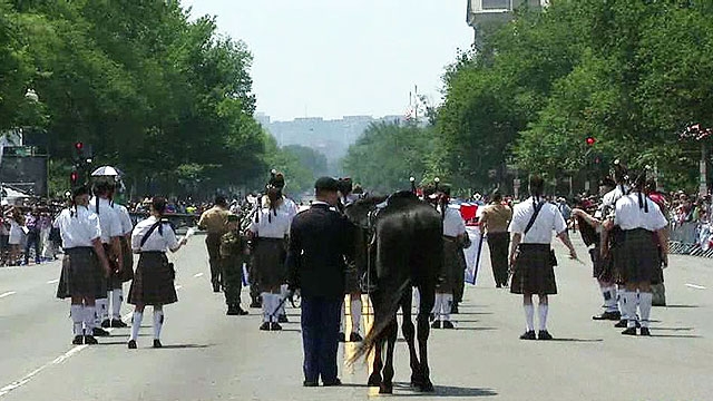 National Memorial Day Parade Kicks Off in Washington, D.C