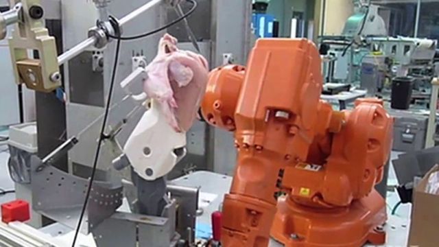 Robotic chicken deboner