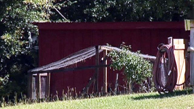 Teenager forced to live inside chicken coop?
