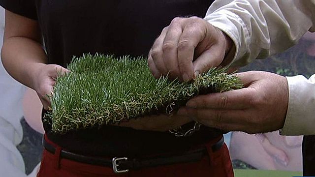 Synthetic turf replacing lawns?