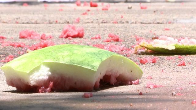 University students participate in watermelon drop tradition
