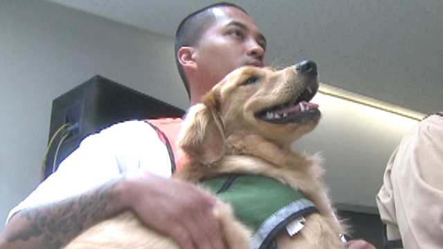 Inmates Train Service Dogs in Washington State