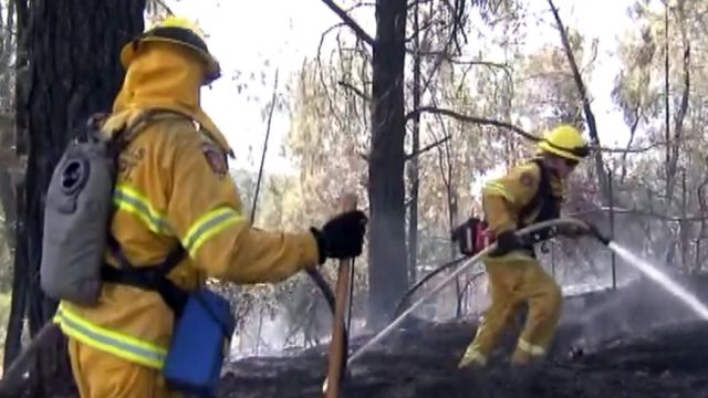 Calif. wildfire scorches 14 acres of land