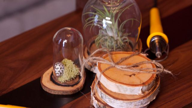 DIY Decor Project: Log Dome Display Jars