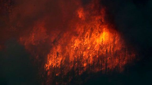 Impostor lies about battling High Park Wildfires