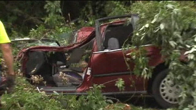 Driver Killed After Tree Falls on Her Car