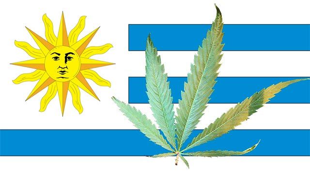 Uruguay mulls government marijuana sales