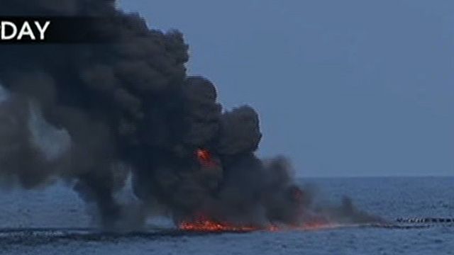 BP Killing Off Marine Life?