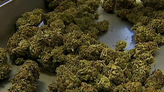 Will Recreational Pot Use Become Legal?