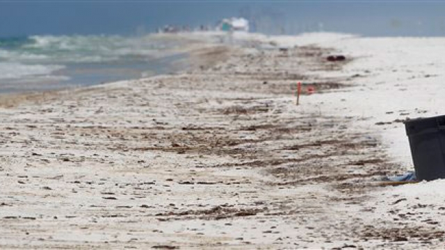 Florida Beach Shutdown