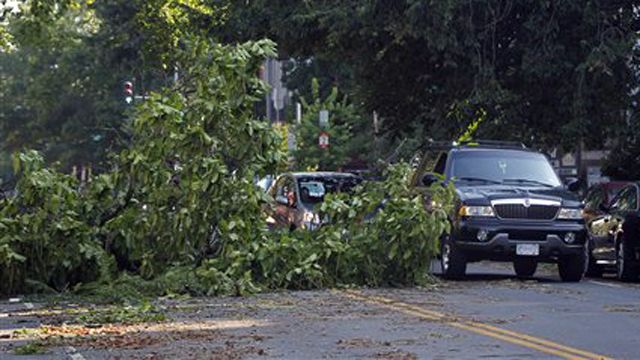 Summer storms tear through eastern states