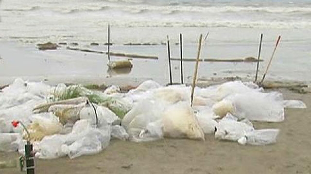 Beach Clean Up Delayed