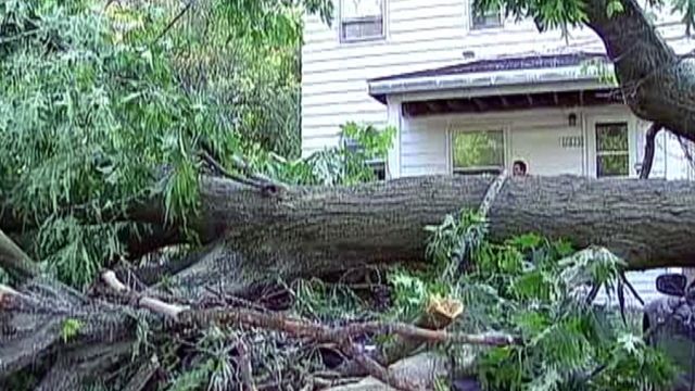 Illinois town copes with storm damage and no power