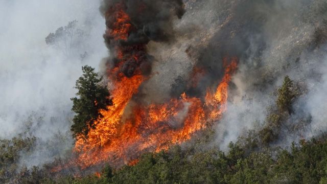 Forty five wildfires burn nationwide  
