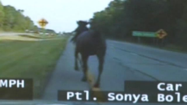 Horse Leads Cops on Highway Chase