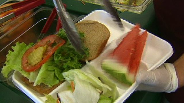 Controversy Over Free Lunch Programs for Kids