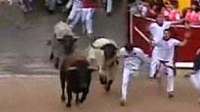 Sagging Economy Skewers Spanish Bullfighting 