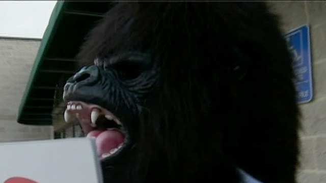 'Banana' Attacks 'Gorilla'