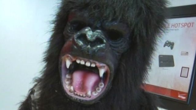 Banana Attacks Gorilla in Ohio
