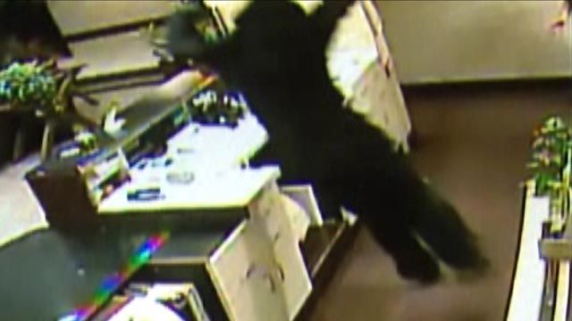 Across America: Video captures 'ninja' robbery in Ohio