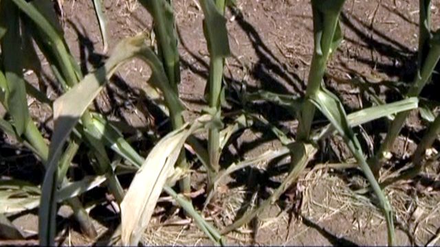Extreme drought conditions continue to plague Midwest