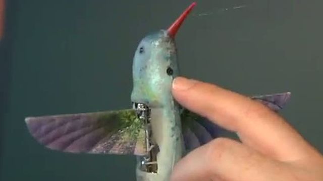 Coming Soon: Hummingbird-sized Drone