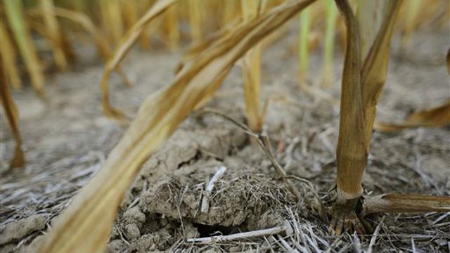 Over half the country struck by moderate to severe drought