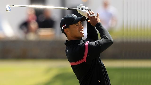 What's Stopping Tiger?