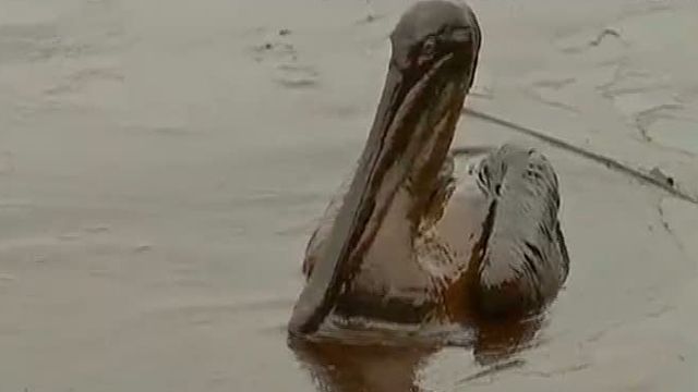 Gulf Oil Spill Victims Await Unanswered Claims