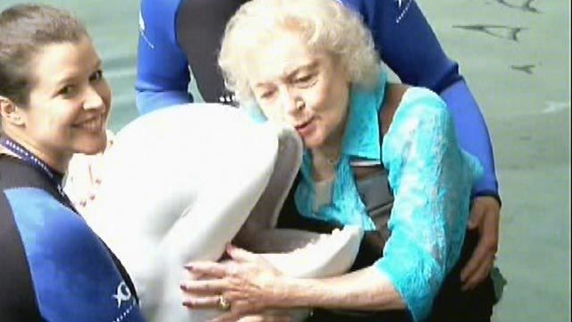 Hollywood Nation: Did Betty White Snub Marine for Whale?