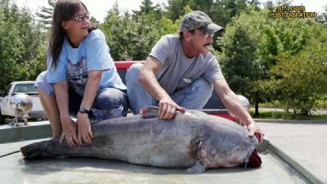 Couple Catches Record Catfish