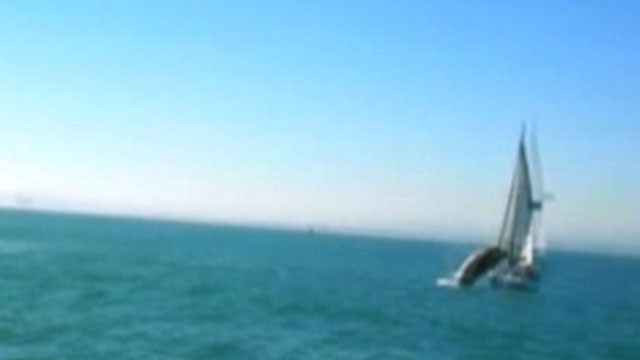 Raw Video: Whale Crushes Sailboat  
