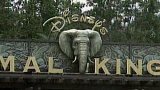 Disney World trying to stop stomach bug at Wild Africa Trek