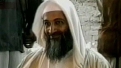 Wikileaks Docs Reference Bin Laden