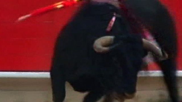 Region in Spain Bans Bullfighting