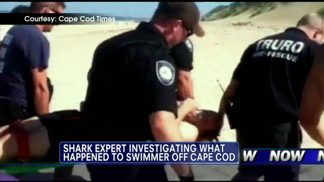 Man Hospitalized After Shark Attack Near Cape Cod