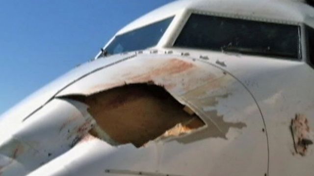 United Airlines Flight Collides With Bird