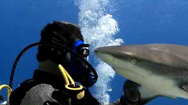 Craig Rivera Dives With Sharks