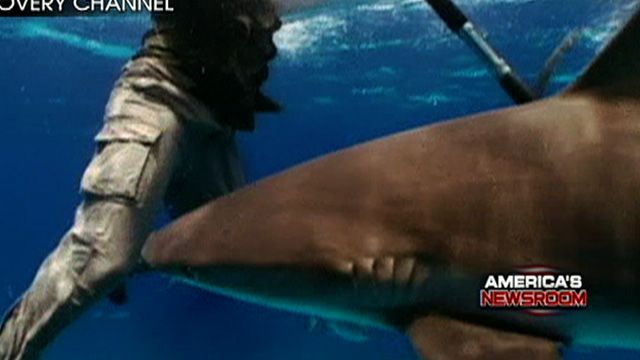 'Shark Week' Kicks Off
