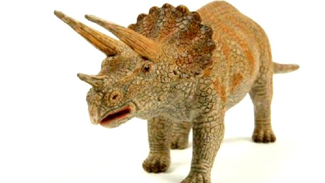 Researchers: Triceratops Was a 'Shape-Shifter'